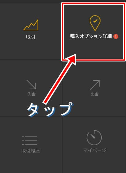 「購入オプション詳細」をタップする